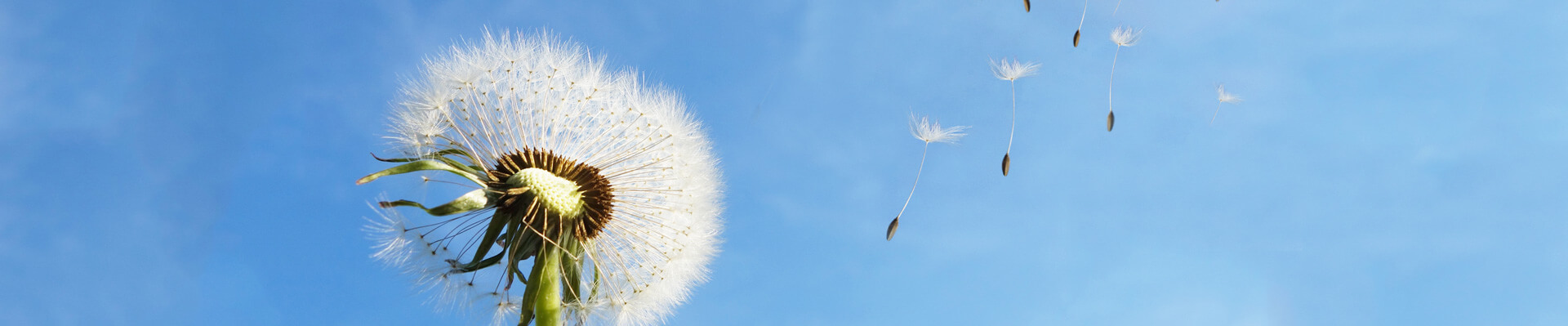 易倍emc体育,易倍平台官网,易倍官网,易倍官网首页进入,易倍官方网站重机集团股份有限公司