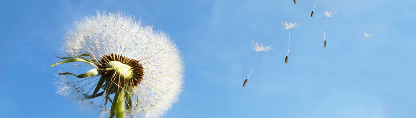 易倍emc体育,易倍平台官网,易倍官网,易倍官网首页进入,易倍官方网站重机集团股份有限公司