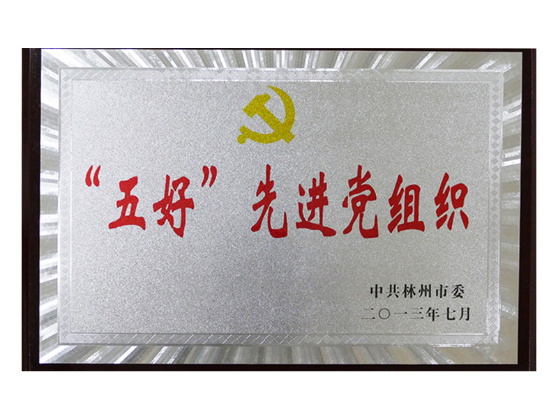 2013年易倍emc体育,易倍平台官网,易倍官网,易倍官网首页进入,易倍官方网站市五好先 进党组织